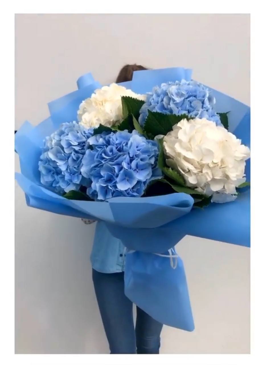 Букет з гортензії "Ніжна блакить"